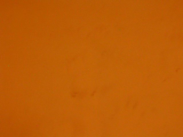dscn8231