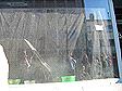 22_bruxelles_after_02
